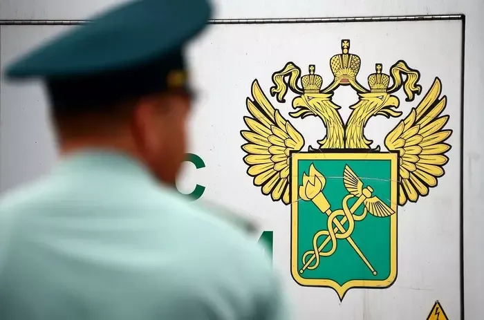 Утилизационный сбор на ввозимые в РФ автомобили, вырастет с 1 августа 2023 года